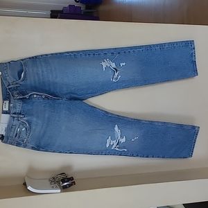 Agolde 90's pinch waist high rise straight  Rule